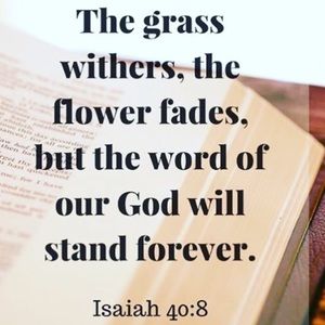 Meet your Posher, Melody